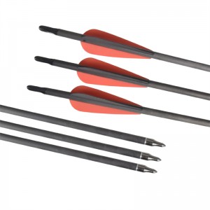 Elong Outdoor 113024 ID6.2mm SP400 Углеродное волокно стрелка стрелка из лука на открытом воздухе Спорт