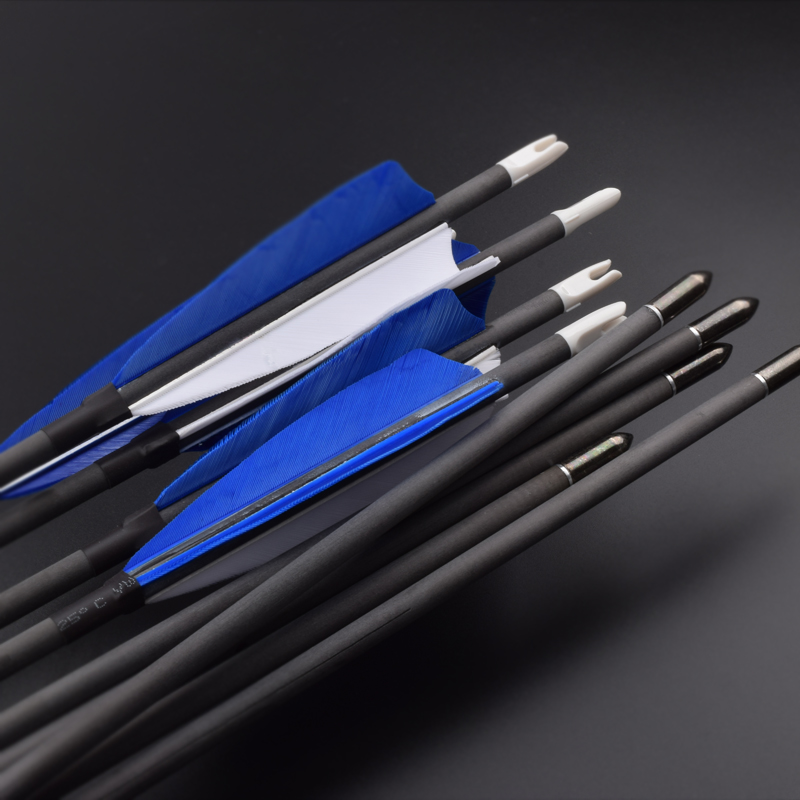 carbon arrows2.jpg